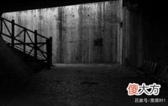 1987夜狸猫事件未解之谜：一夜之间离奇消失的村庄