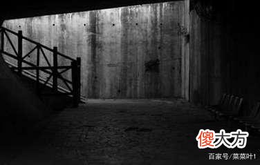 1987夜狸猫事件未解之谜：一夜之间离奇消失的村庄