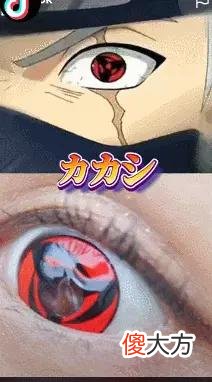 【就爱时尚】上线爆单，TikTok吸粉80万，AR穿戴彩瞳在海外有多火？