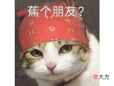 【游戏世界】土豪玩家家长为安全游戏，在家里搞个网吧，连续通宵把好友坑惨了