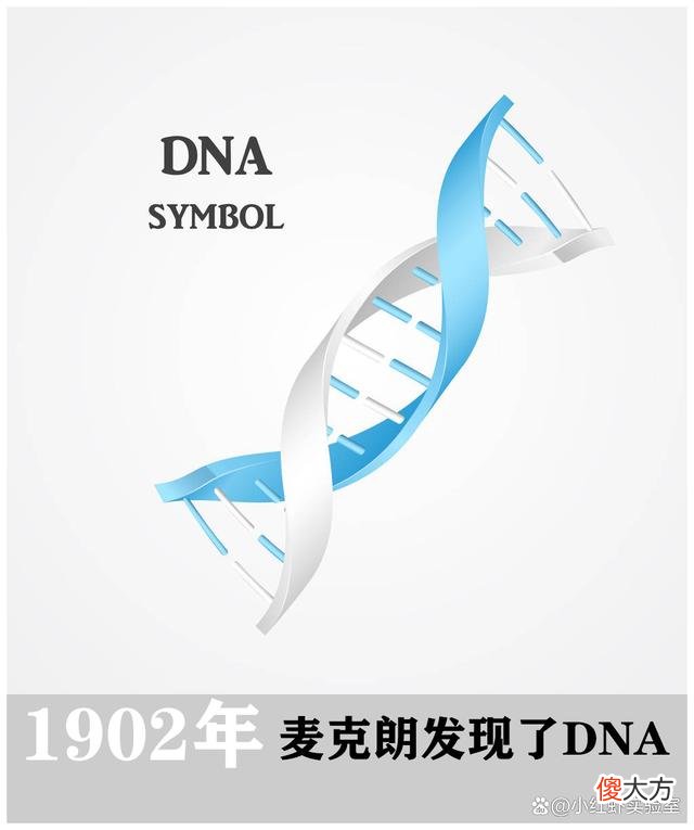 人类缺失的2条染色体，隐藏人类起源真相，会推翻《进化论》吗？