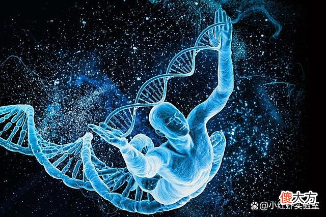 人类缺失的2条染色体，隐藏人类起源真相，会推翻《进化论》吗？