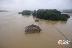 梦见水库缺堤发洪水