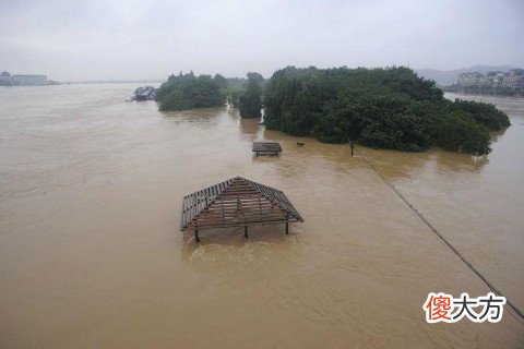 梦见水库缺堤发洪水