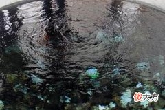 梦见井出黑水