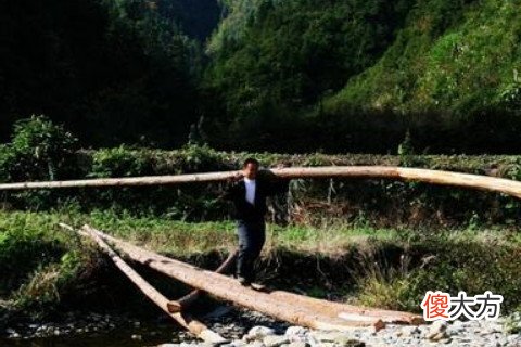 梦见拆木桥