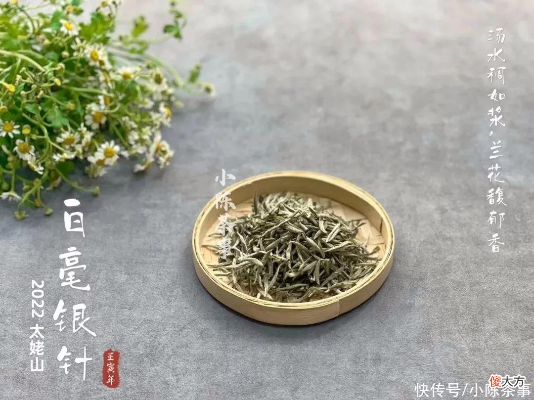 【时尚一点】铁罐存白毫银针的5个注意事项，新手一看就会，安心存好茶