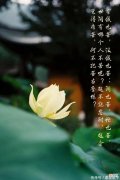 【时尚一点】40岁+女人，如何通过“穿搭”惊艳众人？美女博主的时尚套路：必学！