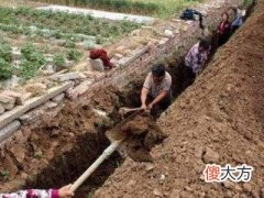 梦见泥沟