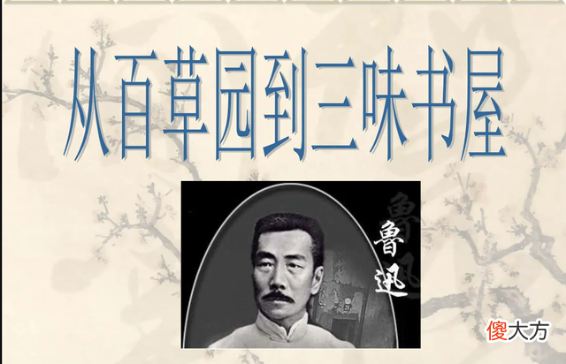 【历史故事】“去鲁迅化”10年有余，鲁迅作品逐步移出教材，到底要去掉什么？