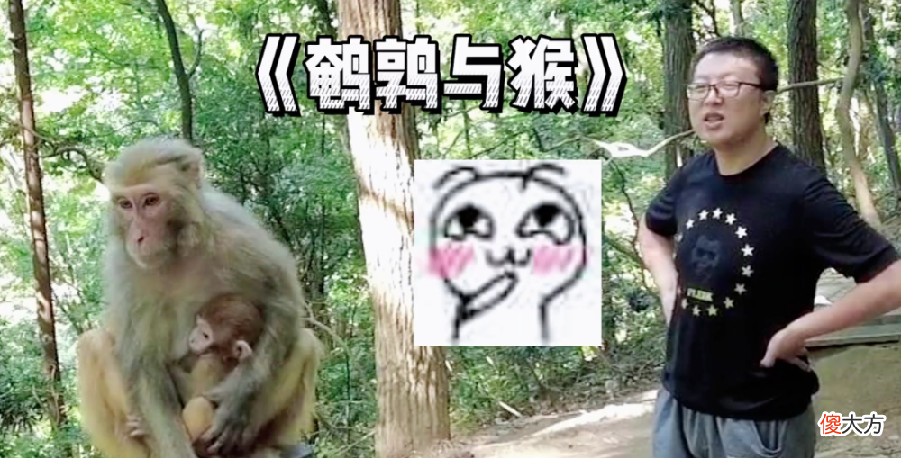 【游戏世界】鹌鹑哥瘦了
