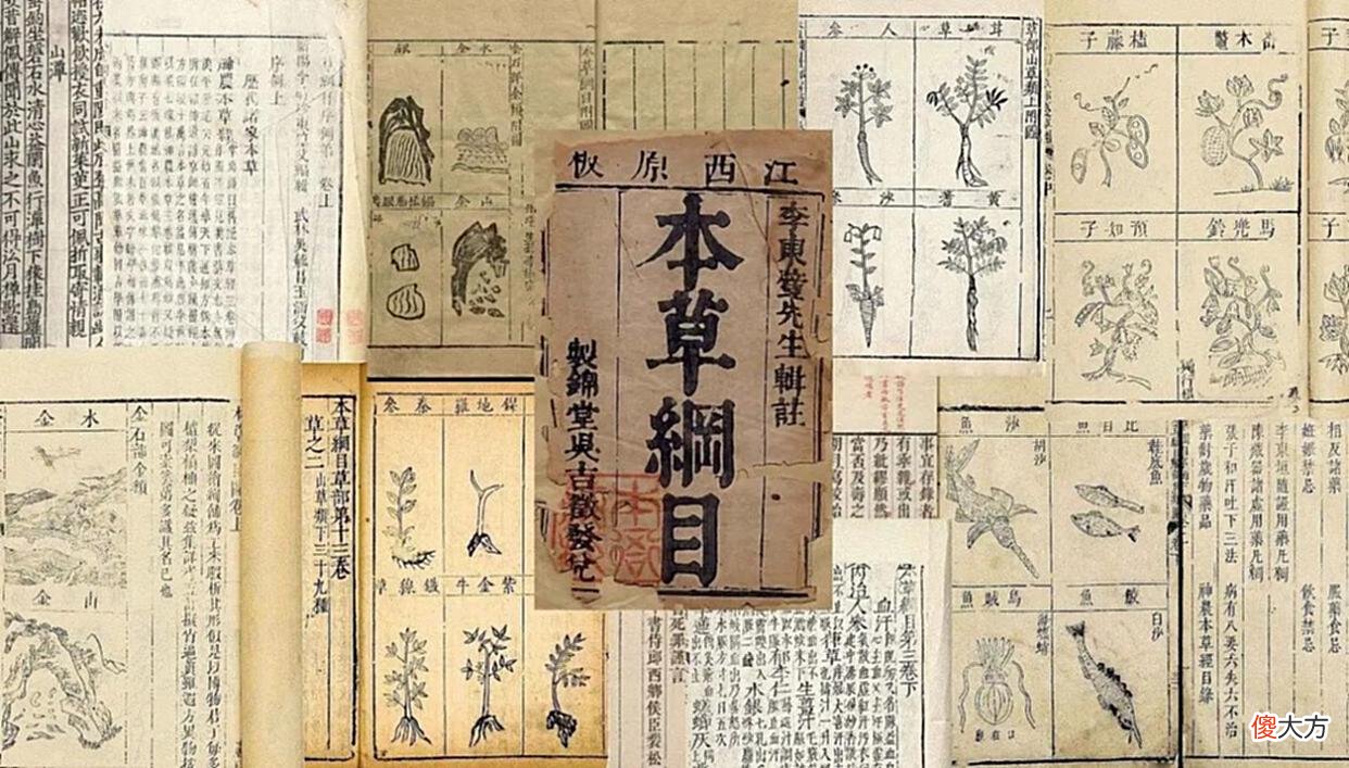 【历史故事】古代的“蒙汗药”，其实配方很简单，解药更是常见