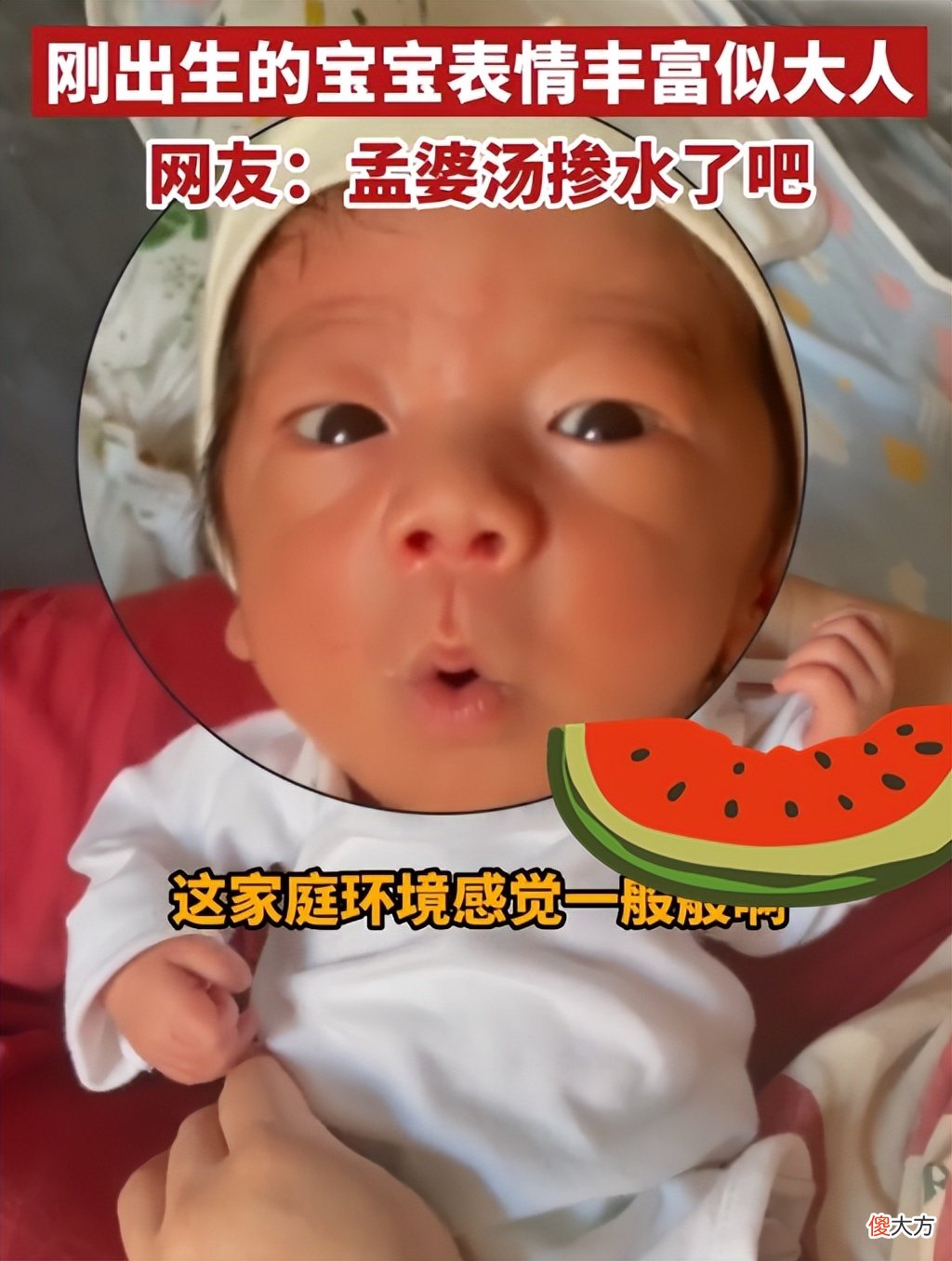 “孟婆汤掺水了”？刚出生宝宝表情丰富，小心思被眼神暴露无遗