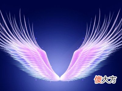 梦见纹翅膀