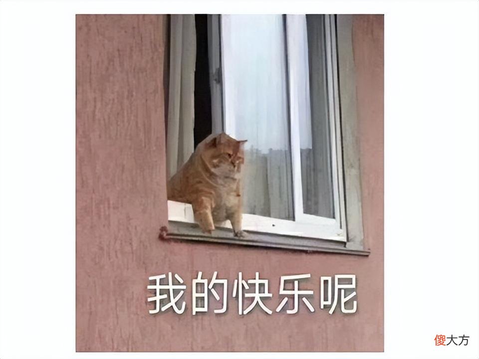 【游戏迷】B站up主长相酷似FF7蒂法，一天涨粉20万，网友神评论：一见如故