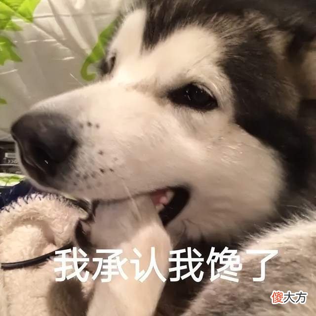 【游戏迷】“背叛”雷火后，这游戏一下火遍游戏圈，还刷新了多项网易纪录！