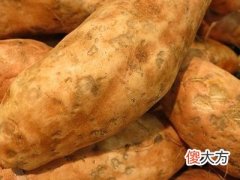 梦见自己种的地瓜