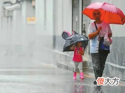 梦见雨中前行