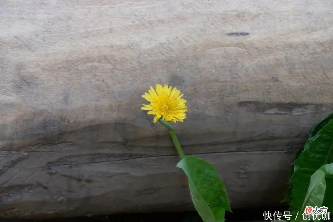 【十二星座】恭喜3个生肖，8月，天降好运，福禄双收，四处生财，好日子没压力