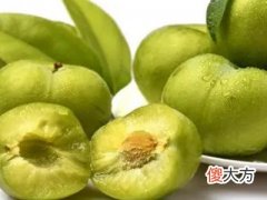 梦见卖李子