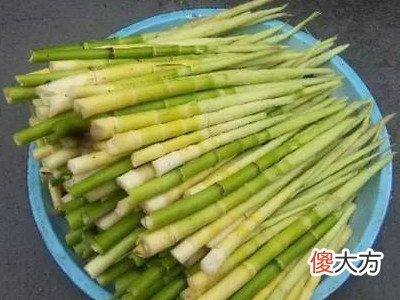 梦见扯小笋