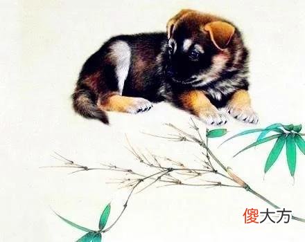 【星座控】熬到8月份，四生肖一不缺钱，二不辛苦，早一步买车买房