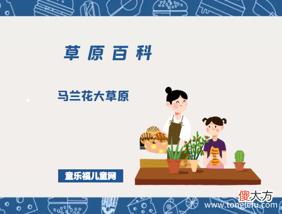 马兰花大草原——马兰花生长的仙境