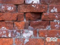 梦见土砖