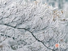 梦见家里结冰了