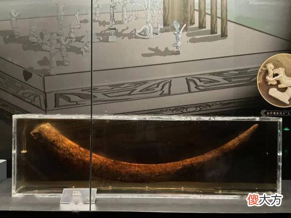 【爱历史】深圳博物馆三星堆展览即将开幕