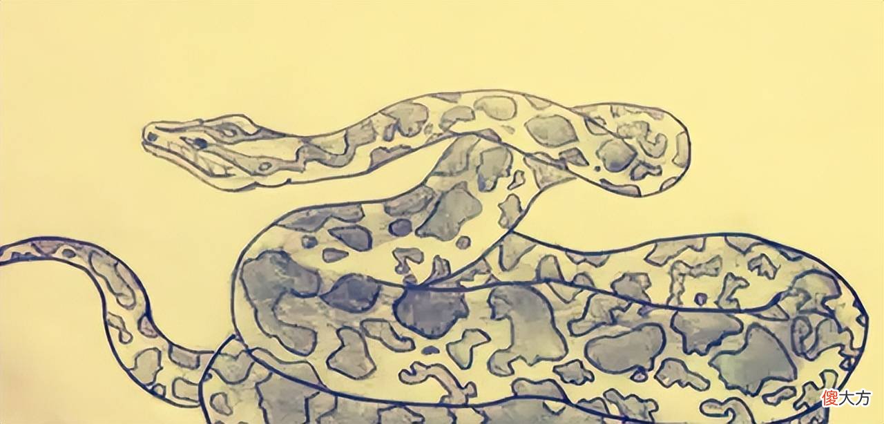 【历史故事】民间故事：双蛇石碑的来历