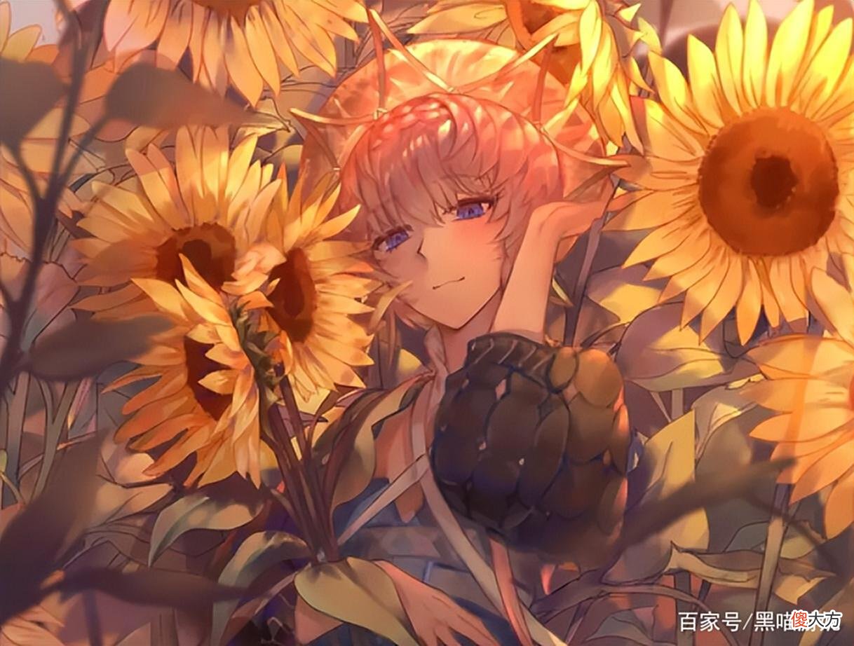 【游戏迷】fgo国服即将开启120级等级上限给这几位五星从者性价比更高