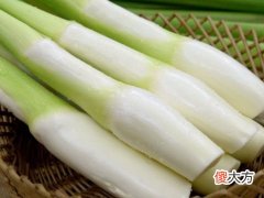 梦见茭白