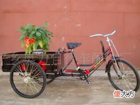梦见开小四轮车