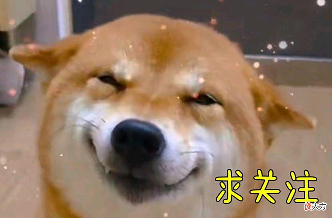 【游戏世界】王者荣耀：被嫌弃也不妨碍高人气？聊一聊让人“又爱又恨”的妲己