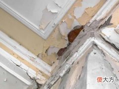 梦见楼上漏水把自己家淹了