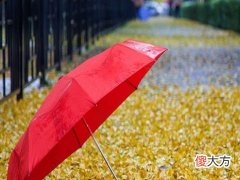 梦见找别人家借伞
