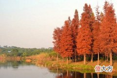 绿幽灵晚上睡觉能带吗