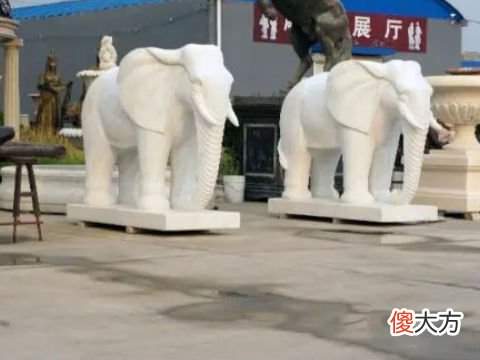 梦见石大象
