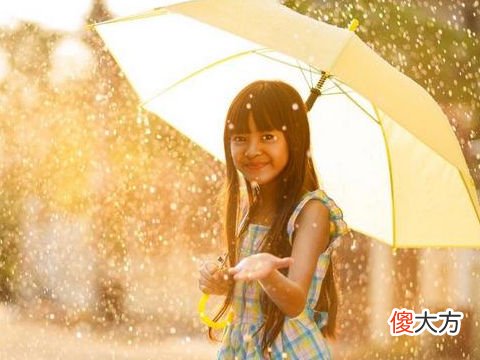 梦见在雨里打了把大伞