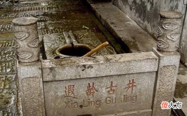 【历史故事】古代人为什么在水井里养鱼和乌龟？