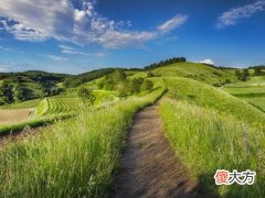 梦见一片草原