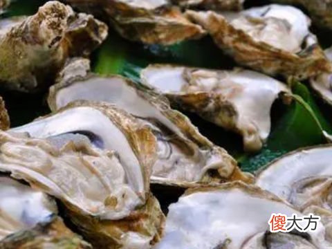 梦见吃生蚝