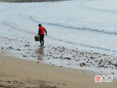 梦见在海边捡东西