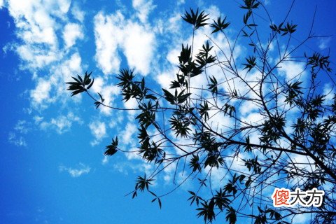 巨蟹男在恋爱中吃哪一套方式
