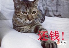 喜欢学习的星座