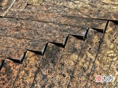 梦见室内地板裂缝