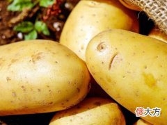 梦见背土豆