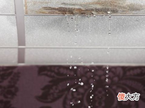 梦见自家房屋漏水