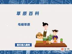 毛娅草原——难以形容的美